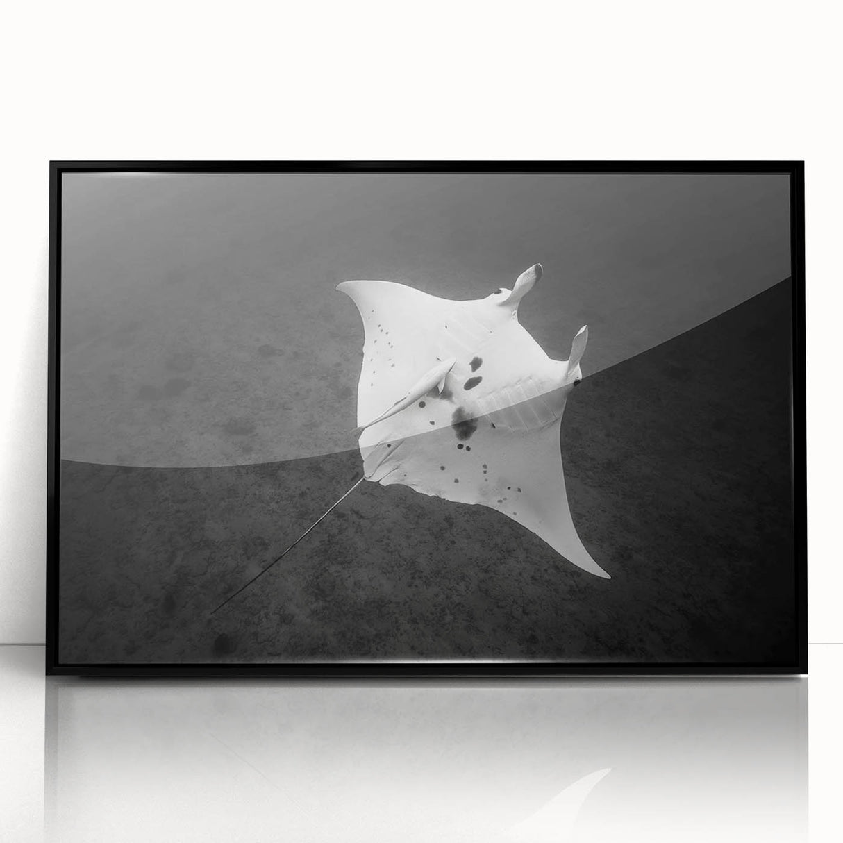 Framed acrylic wall art showcasing a vibrant marine life ray design, featuring a sleek black frame, perfect for enhancing ocean-themed decor in modern interiors.
