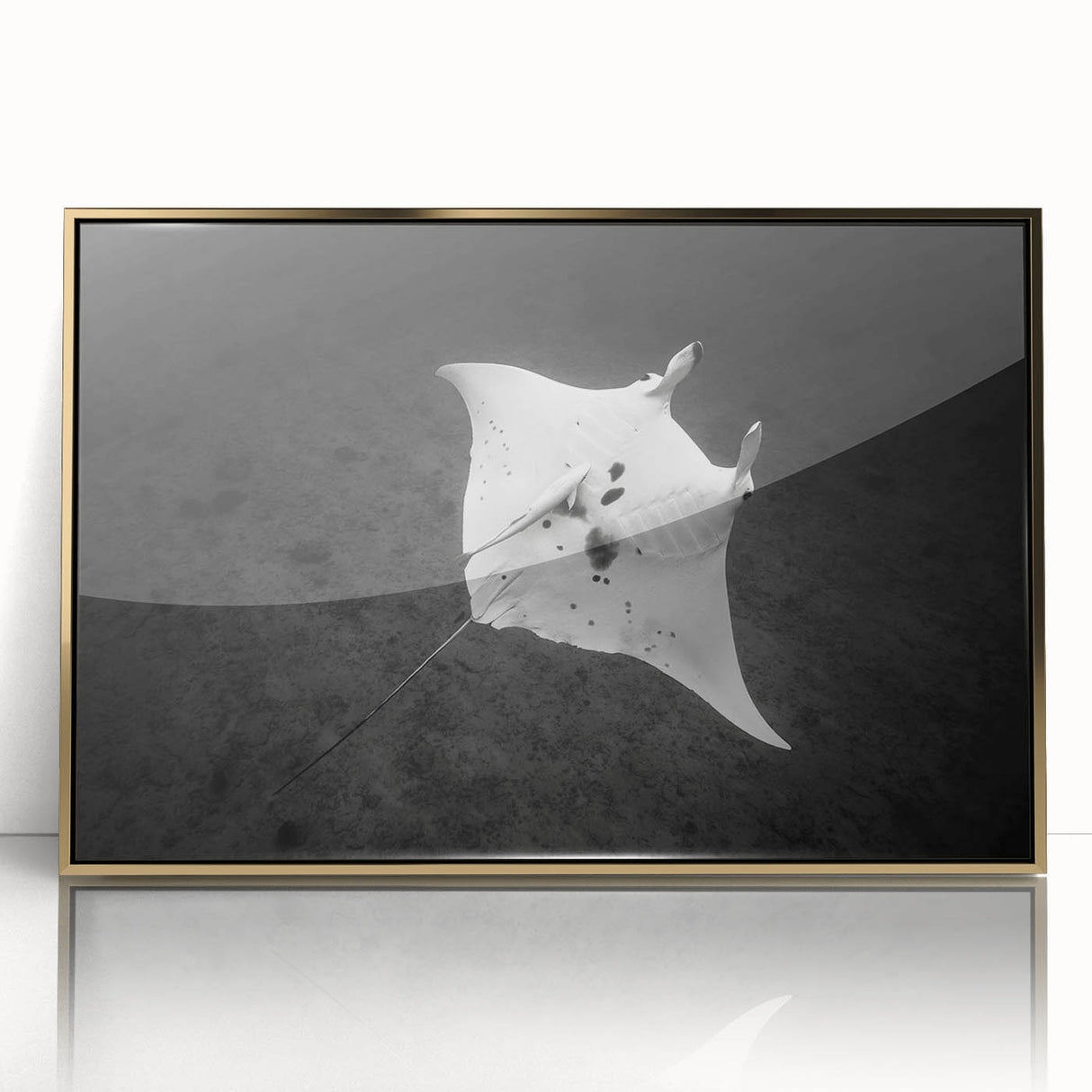 Framed acrylic wall art featuring a vibrant marine life ray design in gold, showcasing intricate details and textures, perfect for ocean-themed decor.