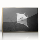 Framed acrylic wall art featuring a vibrant marine life ray design in gold, showcasing intricate details and textures, perfect for ocean-themed decor.