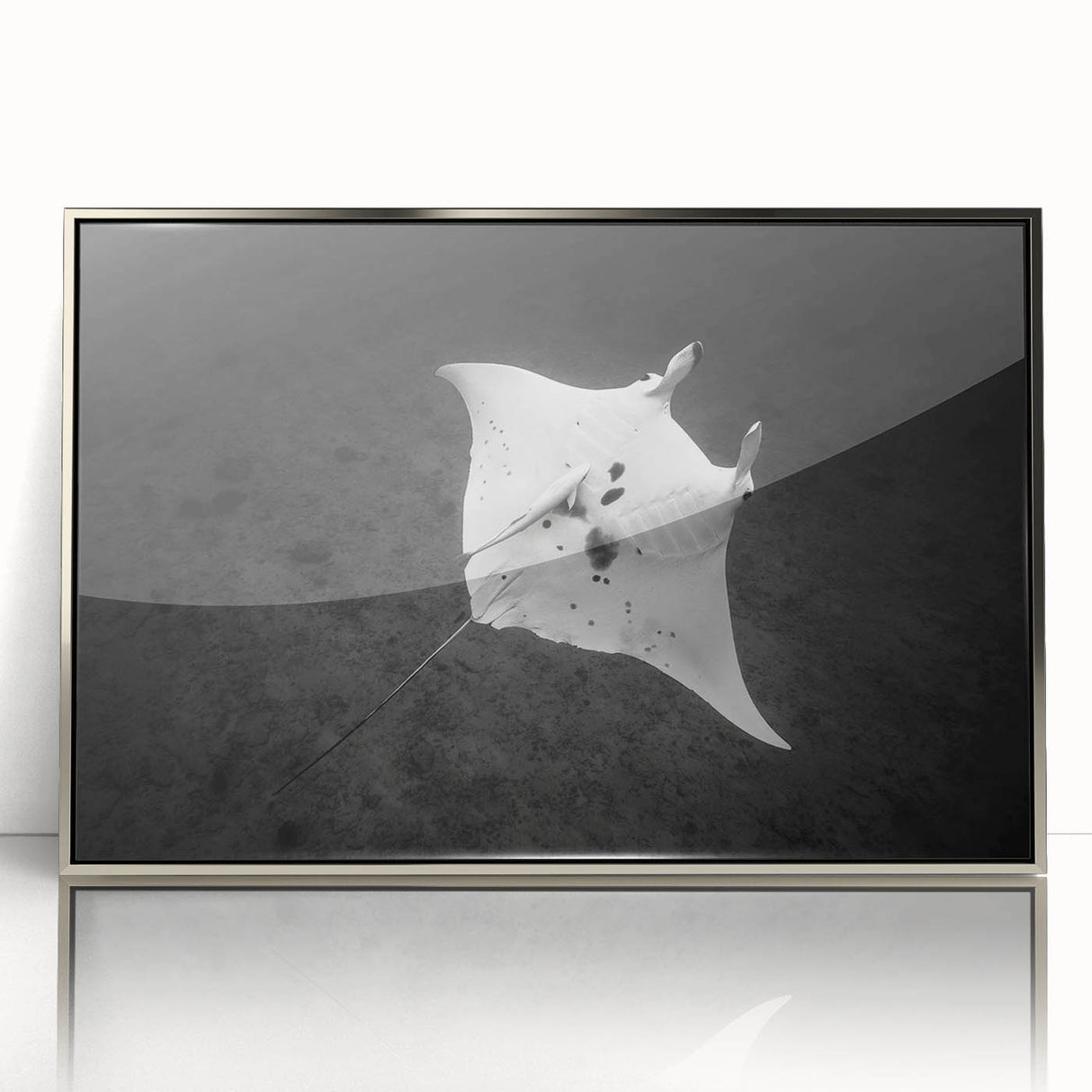 Framed wall art piece showcasing a vibrant marine life ray design, featuring intricate details and a sleek silver frame, perfect for ocean-themed decor.
