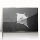 Framed wall art piece showcasing a vibrant marine life ray design, featuring intricate details and a sleek silver frame, perfect for ocean-themed decor.