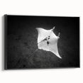 Framed canvas wall art depicting a colorful marine life ray design, showcased in a sleek black frame, perfect for ocean-themed home decor.