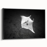 Framed canvas wall art depicting a colorful marine life ray design, showcased in a sleek black frame, perfect for ocean-themed home decor.