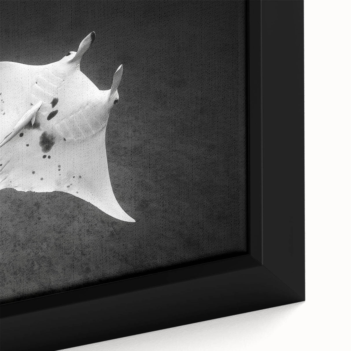 Close-up of a framed canvas wall art featuring a vibrant ray design, showcasing intricate marine life details and rich colors, perfect for ocean-themed decor.