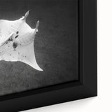 Close-up of a framed canvas wall art featuring a vibrant ray design, showcasing intricate marine life details and rich colors, perfect for ocean-themed decor.
