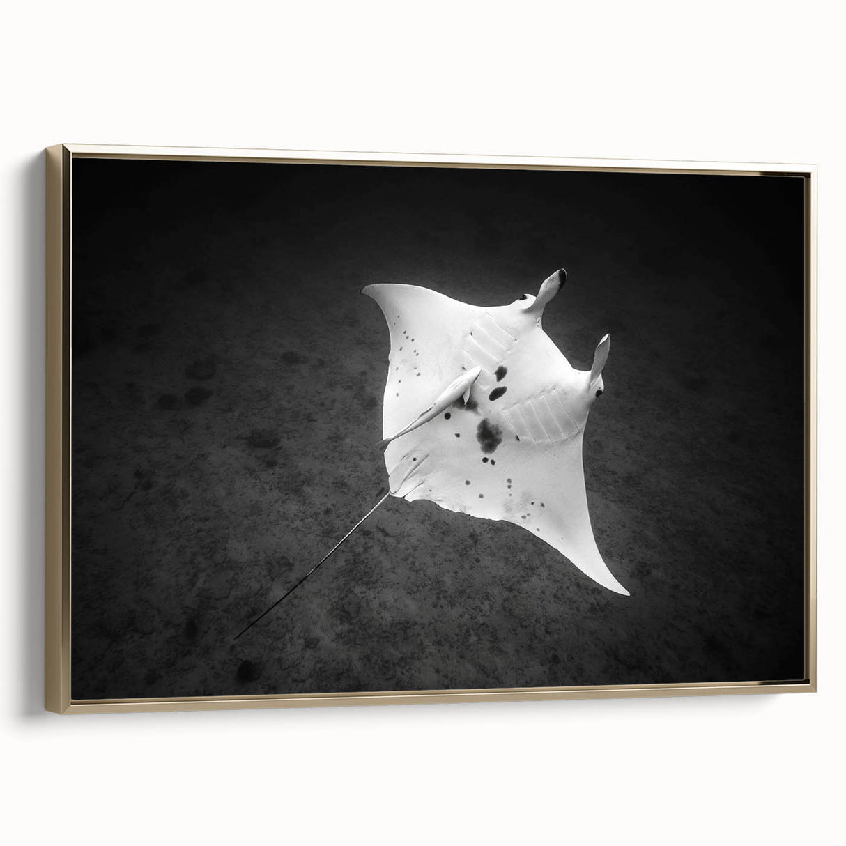 Framed wall art featuring a stunning marine life ray design with gold accents, elegantly displayed from a side view, perfect for coastal-themed decor.