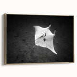 Framed wall art featuring a stunning marine life ray design with gold accents, elegantly displayed from a side view, perfect for coastal-themed decor.