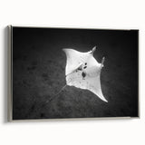 Framed canvas wall art depicting a stunning marine life ray design in silver tones, showcasing intricate details and a modern aesthetic perfect for ocean-themed decor.