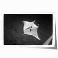 Vibrant marine life ray design wall art print showcasing colorful underwater elements, rolled for easy transport and featuring intricate detailing on a textured surface. Perfect for ocean-themed decor enthusiasts.