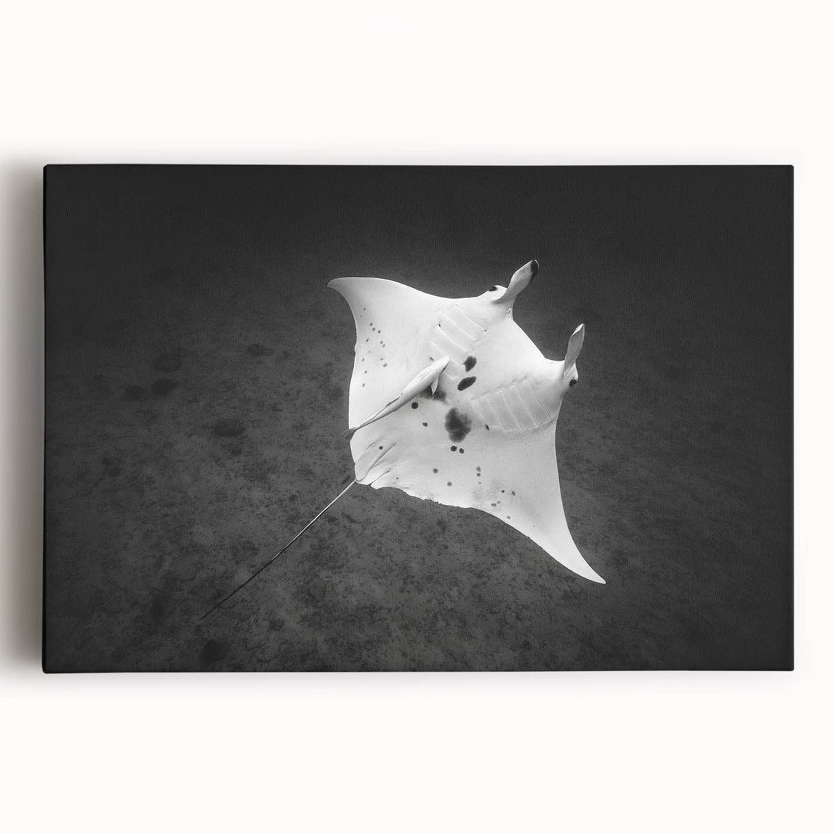 Vibrant marine life wall art featuring an intricate ray design on stretched canvas, showcasing rich blues and greens, perfect for ocean-themed decor.