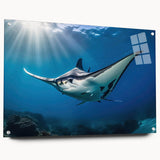Acrylic wall art collection showcasing a vibrant marine life ray design, displayed in a side view with decorative pins, ideal for ocean-themed decor.