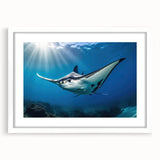 Close-up of a framed wall art collection showcasing vibrant marine life ray designs, featuring a white mat and sleek frame, perfect for coastal decor.