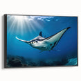 Framed canvas wall art showcasing a vibrant marine life ray design, featuring a sleek black frame and side view display, ideal for ocean-themed decor.