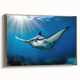 Framed canvas wall art featuring a vibrant marine life ray design with gold accents, showcasing intricate details and textures for a stunning home decor piece.