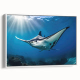 Framed canvas wall art showcasing a vibrant marine life ray design, with a white frame and side view displaying its elegant profile, perfect for ocean-themed decor.