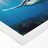 Colorful rolled canvas artwork depicting a vibrant marine life ray design, showcasing intricate details and textures, perfect for ocean-themed decor.