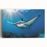 Stretched canvas wall art featuring a vibrant marine life design, showcasing colorful rays and ocean elements, perfect for enhancing coastal-themed decor.