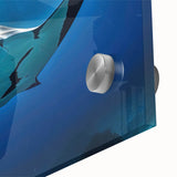 Close-up of a vibrant marine life wall art piece featuring a colorful ray design, printed on high-quality acrylic glass, ideal for coastal decor enthusiasts.