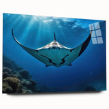 Vibrant acrylic wall art showcasing a marine life ray design, displayed from a side view on glass, perfect for ocean-themed decor and artistic interior styling.
