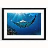 Framed wall art featuring a vibrant marine life ray design with a black mat, showcasing intricate details and colors that enhance any coastal-themed decor.