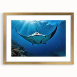 Gold-framed wall art featuring a stunning marine life design with rays, elegantly matted for a sophisticated look, perfect for ocean-themed decor.