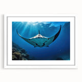 Framed wall art featuring a vibrant marine life ray design, set in a sleek white frame with a mat, showcasing colorful ocean-inspired elements for home decor.