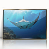 Framed acrylic wall art featuring a stunning marine life ray design, with a gold frame that adds a touch of elegance, perfect for ocean-themed decor.