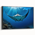 Framed wall art showcasing a vibrant marine life ray design on canvas, set against a sleek black frame, ideal for ocean-themed decor. Perfect for enhancing living spaces with a touch of aquatic beauty.