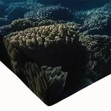 Close-up of a vibrant stretched canvas featuring a marine life ray design, showcasing intricate details and colors, perfect for ocean-themed decor or art collections.