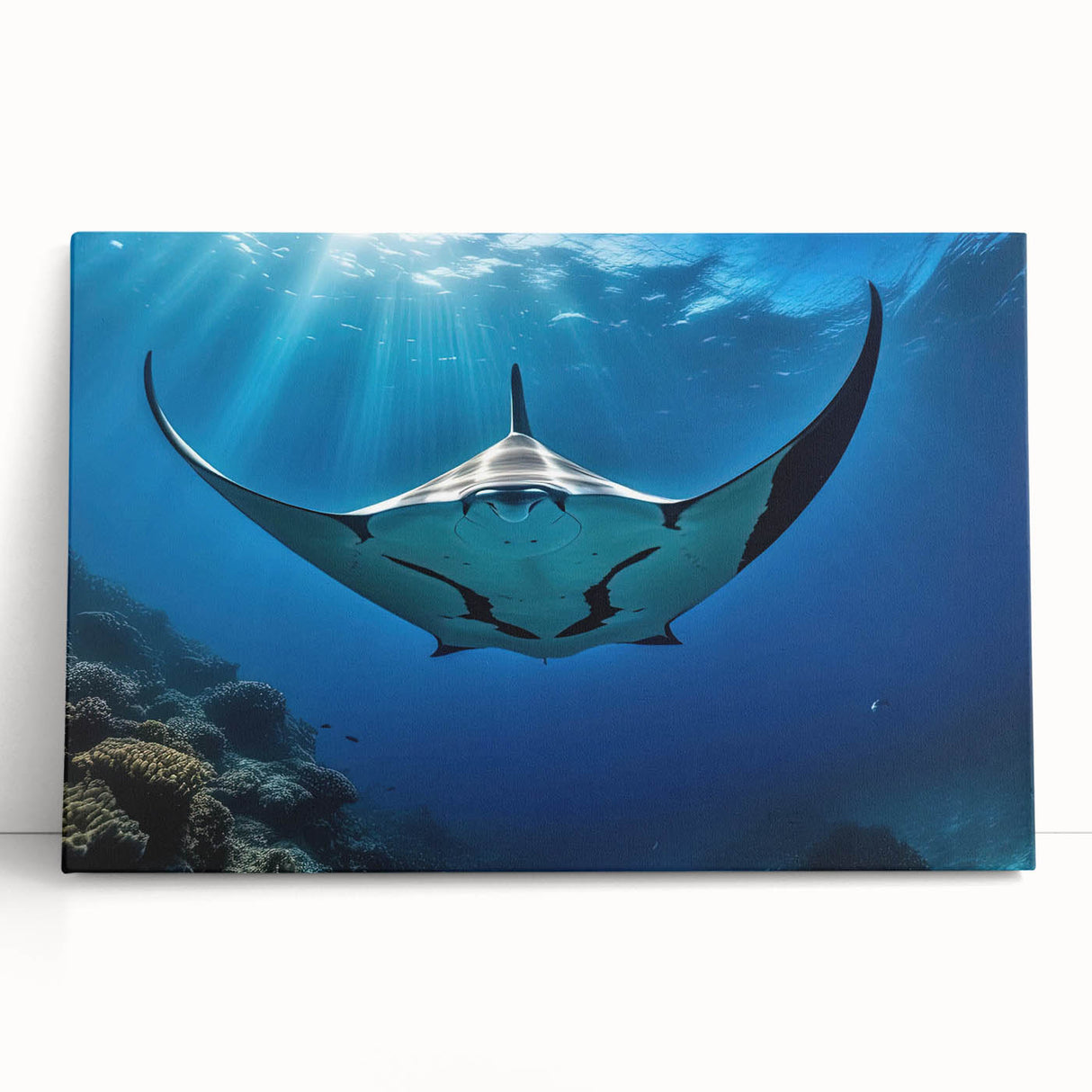 Colorful stretched canvas wall art featuring a vibrant marine life ray design, showcasing intricate details and textures, ideal for ocean-themed decor.