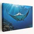 Stretched canvas wall art featuring a vibrant marine life ray design, showcasing intricate details and rich colors, ideal for ocean-themed decor in modern interiors.