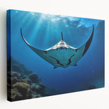 Stretched canvas wall art featuring a vibrant marine life ray design, showcasing intricate details and rich colors, ideal for ocean-themed decor in modern interiors.