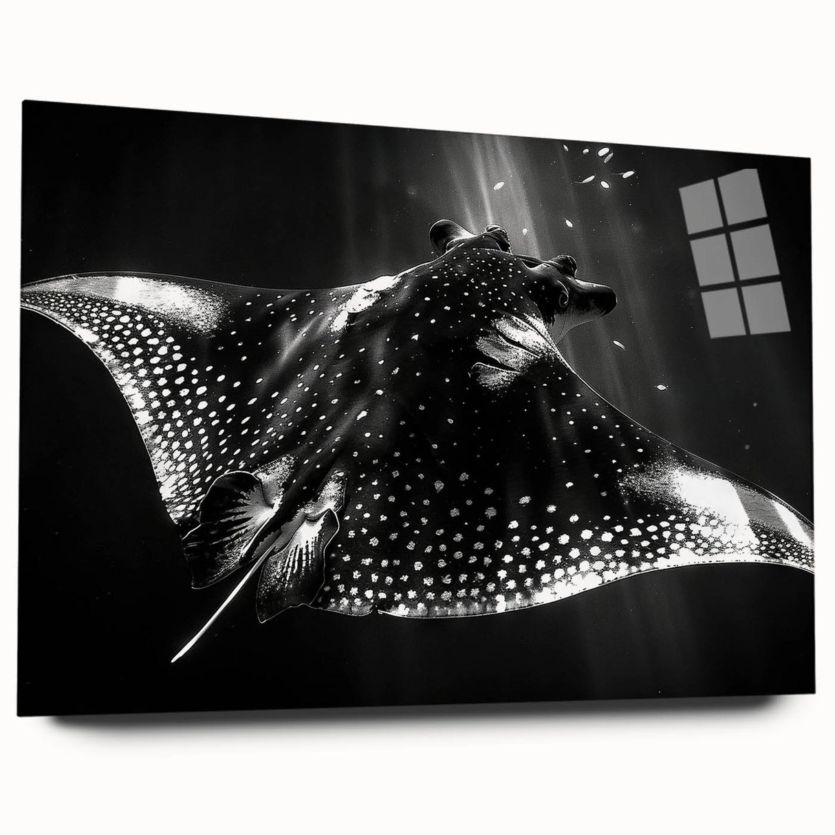 Close-up view of a stunning marine life-themed wall art piece featuring a ray design, crafted from acrylic glass, showcasing vibrant colors and intricate details, ideal for aquatic decor enthusiasts.
