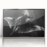 Framed wall art featuring a vibrant marine life ray design, with silver acrylic frame and clear front view, perfect for ocean-themed home decor.