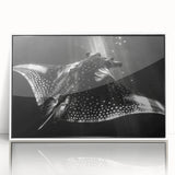 Framed wall art featuring a vibrant marine life ray design, showcasing intricate details in blue and green tones, perfect for ocean-themed decor.