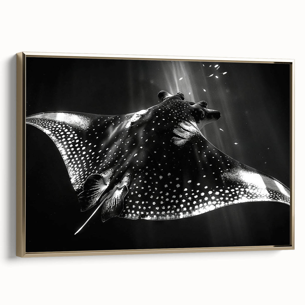 Framed wall art showcasing a vibrant marine life ray design on a gold background, adding elegance to any coastal-themed decor. Perfect for ocean lovers.