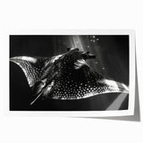 Colorful marine life wall art print showcasing a vibrant ray design, featuring intricate details and textures, ideal for ocean-themed decor and art enthusiasts.