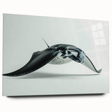 Elegant acrylic wall art showcasing a stunning marine life ray design in vibrant colors, displayed in a side view without pins, perfect for ocean-themed decor.