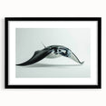 Black-framed wall art featuring a vibrant marine life ray design, elegantly presented with a mat, perfect for ocean-themed decor and adding a touch of nature to any room.