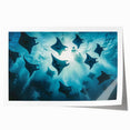 Vibrant rolled print of marine life featuring a colorful stingray illustration, perfect for ocean-themed decor, showcasing intricate details and vivid colors.