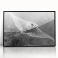 Framed wall art collection showcasing a vibrant marine life ray design, featuring a sleek black frame and acrylic finish, ideal for ocean-themed decor.