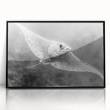 Framed wall art collection showcasing a vibrant marine life ray design, featuring a sleek black frame and acrylic finish, ideal for ocean-themed decor.