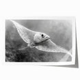 Colorful marine life wall art collection featuring vibrant ray designs on high-quality rolled print, ideal for ocean-themed decor, showcasing intricate details and textures.