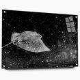 Vibrant marine life wall art collection showcasing a stunning ray design printed on acrylic glass, displayed in a contemporary setting with decorative pins.