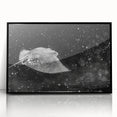 Framed wall art collection featuring a marine life ray design in vibrant colors, set against a sleek black frame, ideal for ocean-themed decor.
