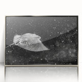 Framed acrylic wall art featuring a stunning marine life ray design in silver, showcasing intricate details and vibrant colors, perfect for coastal-themed decor.