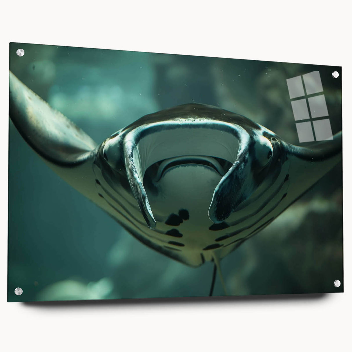 Acrylic wall art piece showcasing a vibrant marine life ray design, displayed in a side view with metal pins, perfect for ocean-themed decor.