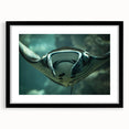 Black-framed wall art showcasing a vibrant marine life ray design, featuring intricate details and colorful patterns, perfect for ocean-themed decor.