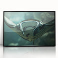 Framed acrylic wall art featuring a vibrant marine life ray design, showcasing intricate details and bold colors on a black background, perfect for ocean-themed decor.