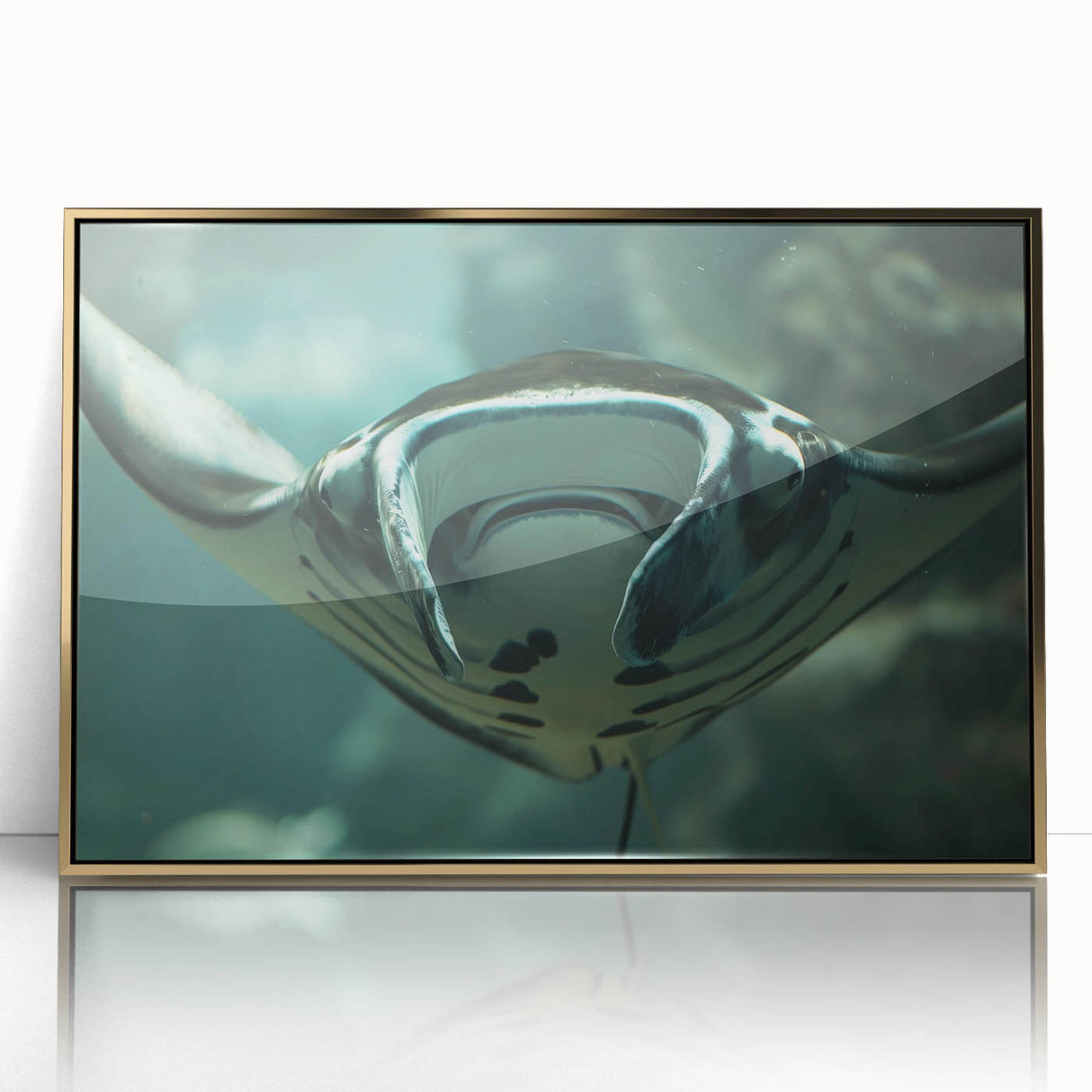 Framed acrylic wall art showcasing a vibrant marine life ray design in gold, ideal for enhancing home decor with a touch of ocean-inspired elegance.